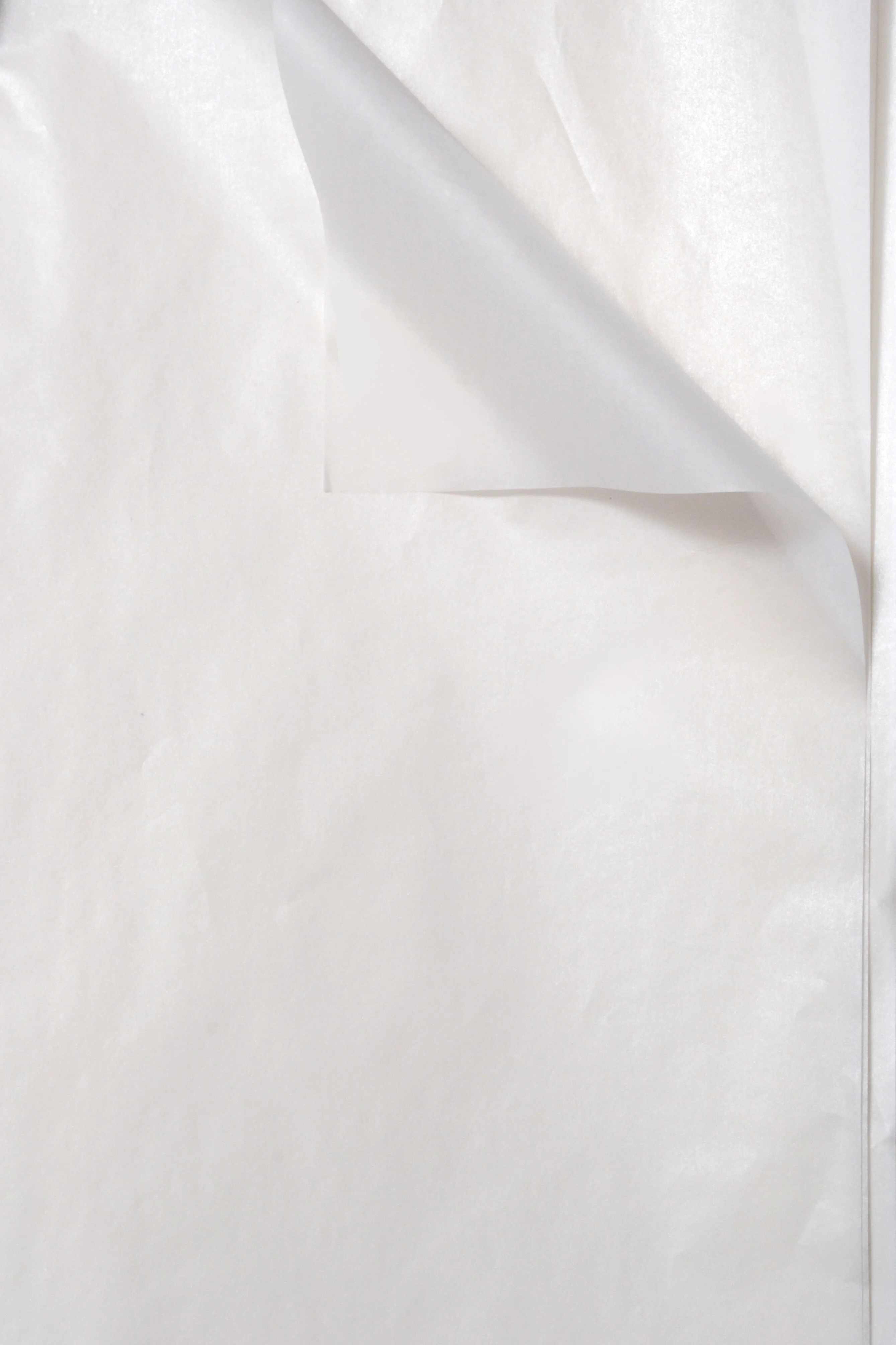 19.75'' x 27.5'' Waxed Pearlized Tissue Pape White