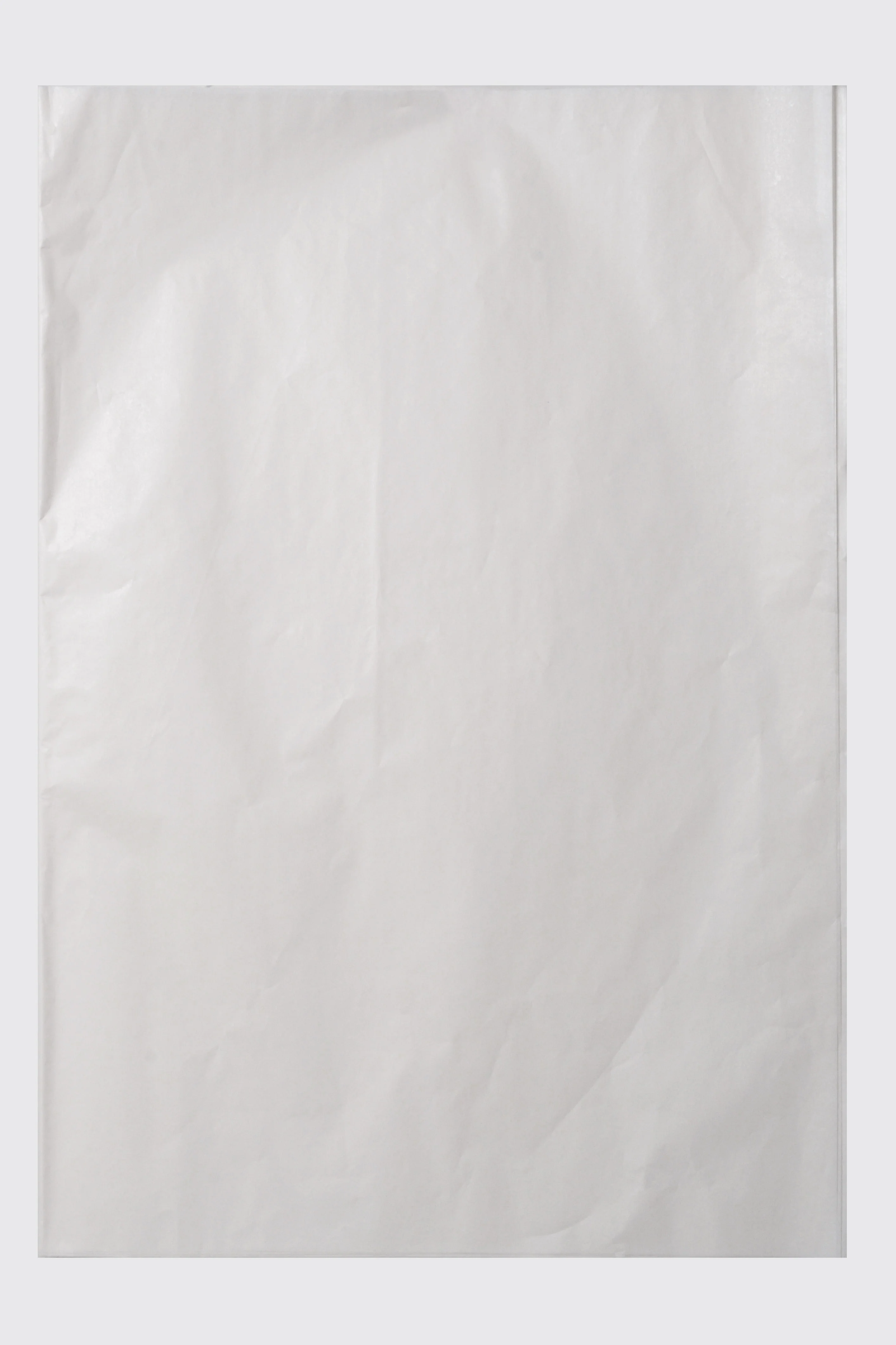 19.75'' x 27.5'' Waxed Pearlized Tissue Pape White - Image 2