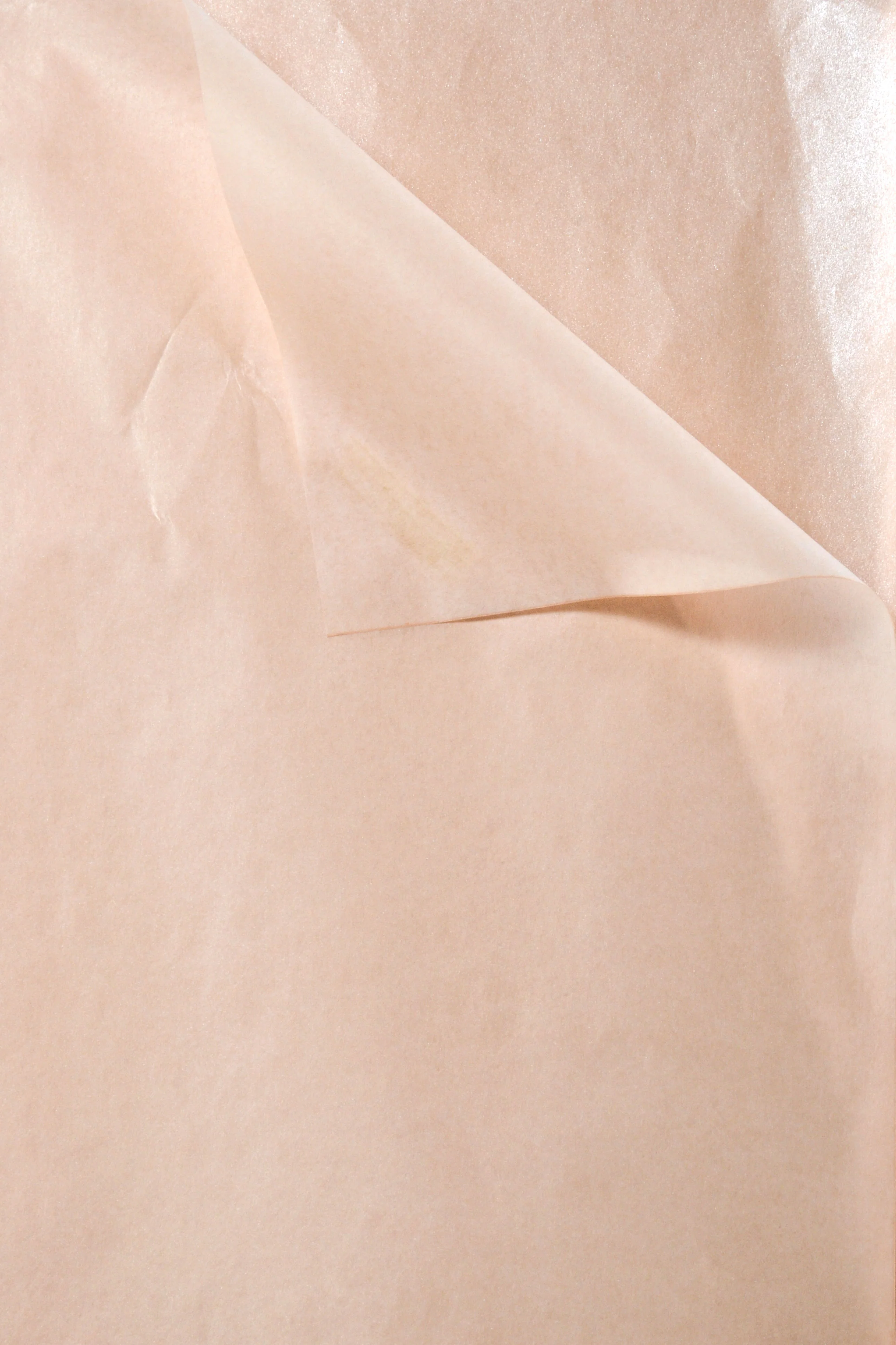 19.75'' x 27.5'' Waxed Pearlized Tissue Paper Cream