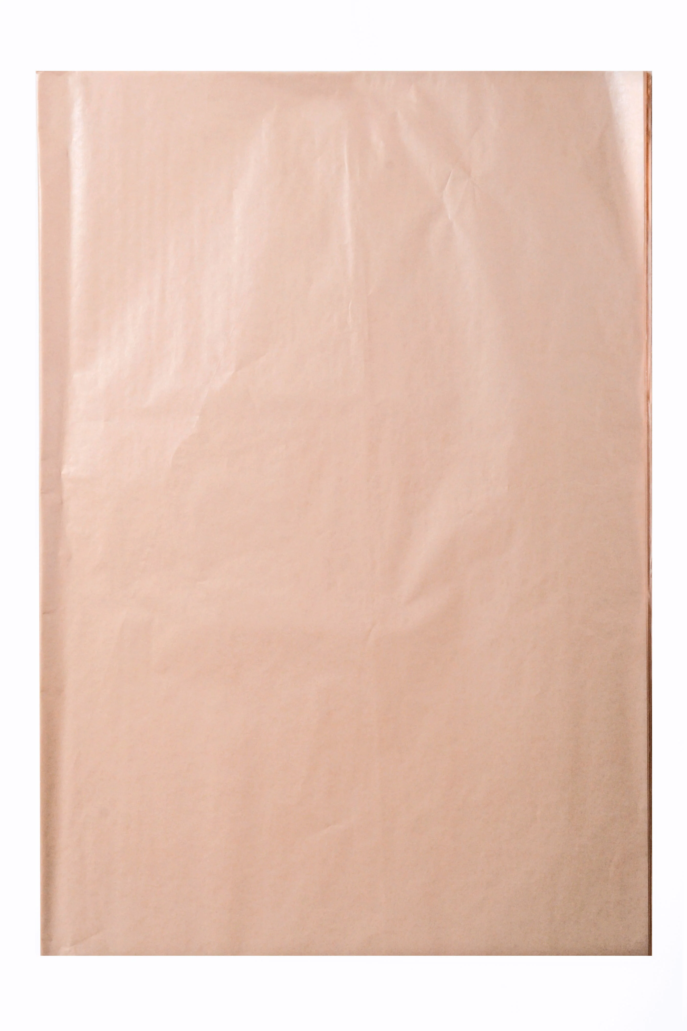 19.75'' x 27.5'' Waxed Pearlized Tissue Paper Cream - Image 2