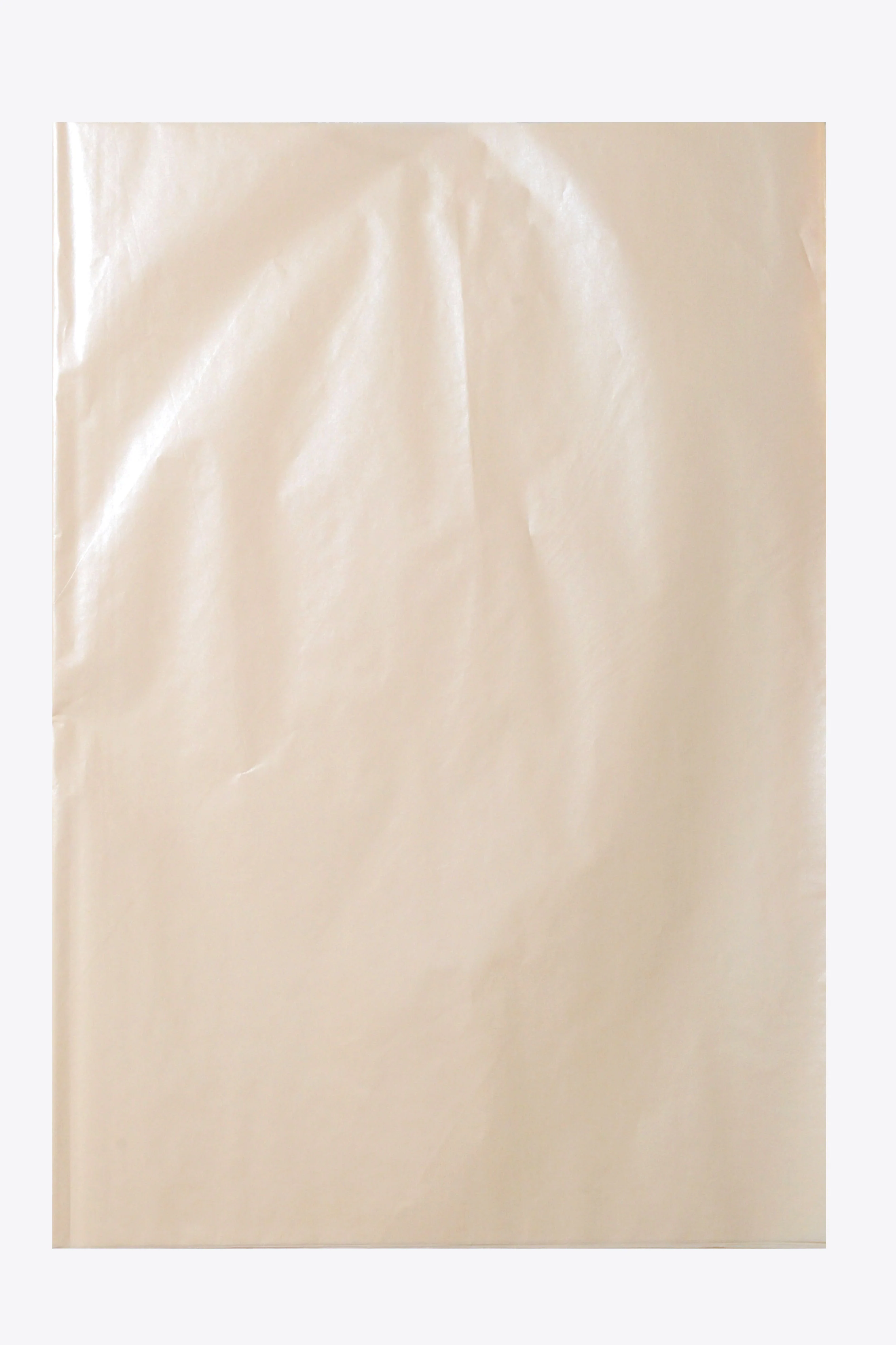 19.75'' x 27.5'' Waxed Pearlized Tissue Paper Ivory - Image 2