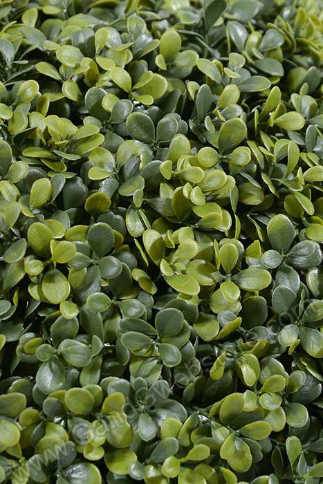 19" Boxwood Ball Green - Image 2