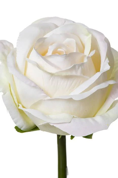 19" Rose Spray Cream/blush - Image 2