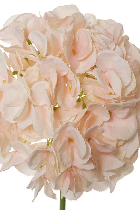 19" Silk Hydrangea Spray (Soft Pink) - Image 2