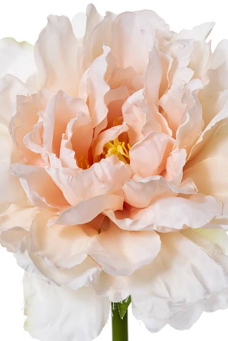 19" Silk Peony Spray Soft Pink - Image 2