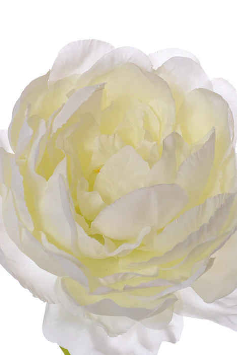 19" Silk Peony Spray White - Image 2