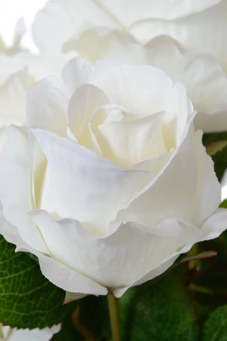 19" Silk Rose Bud Bush Cream - Image 2