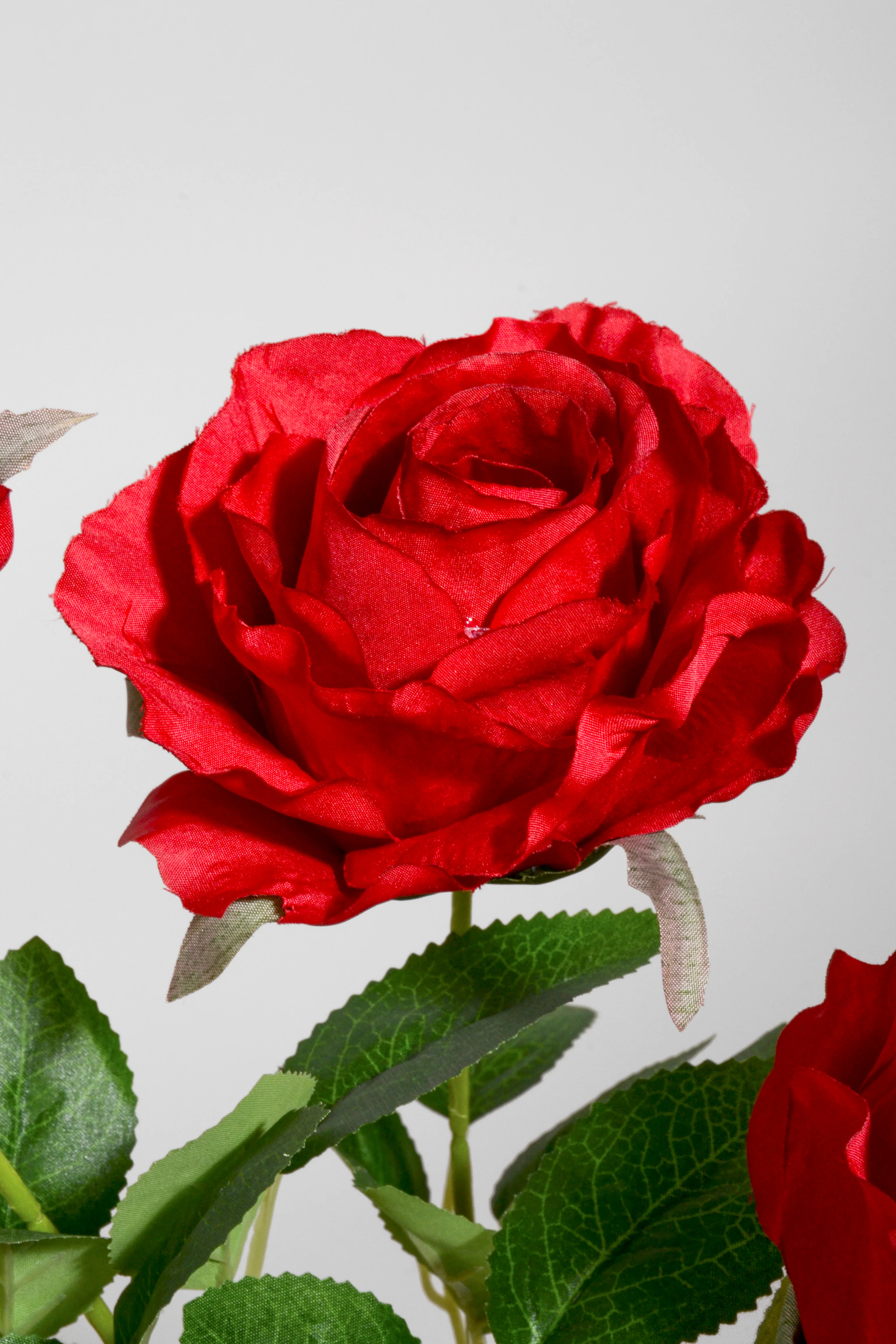 19" Silk Rose Bush Red - Image 2