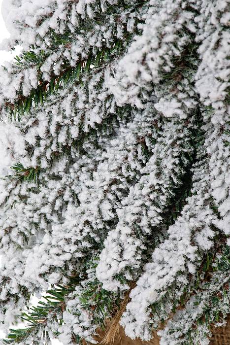 19" Snow Mini Pine Tree W/wood Stand - Image 2