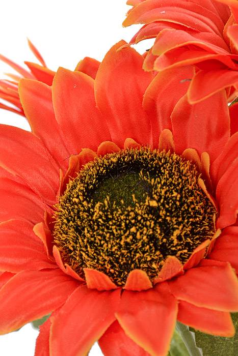 19" Sunflower Bush Orange - Image 2
