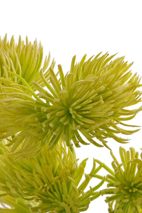 19" Thistle Spray Green - Image 2