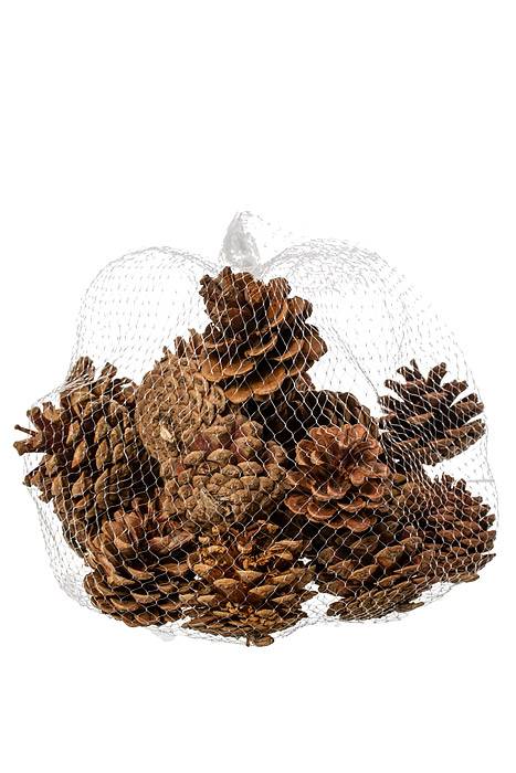 2-2.5" Pine Cone Natural Pkg/1lb - Image 2
