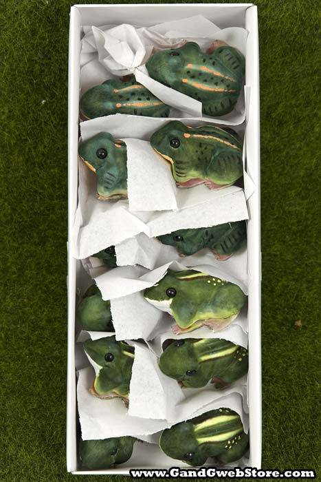 2.5" Craft Frog Green Pkg/12 - Image 3