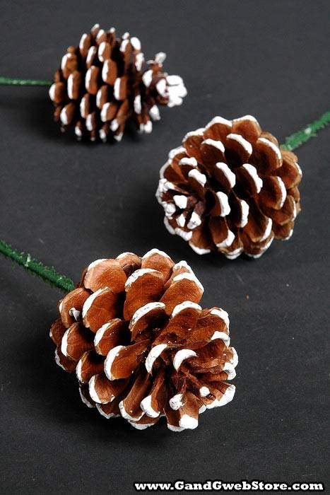 2.5" Pine Cone W/white Tip Natural Pkg/12 - Image 2