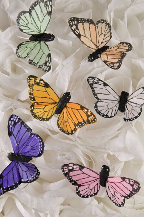2" Butterfly Assorted Pkg/12