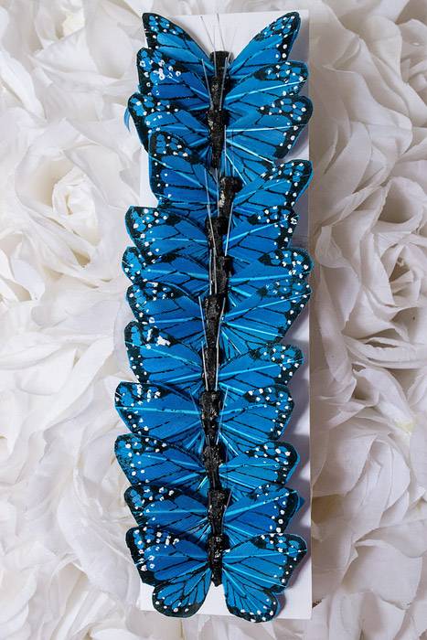 2" Butterfly Blue Pkg/12