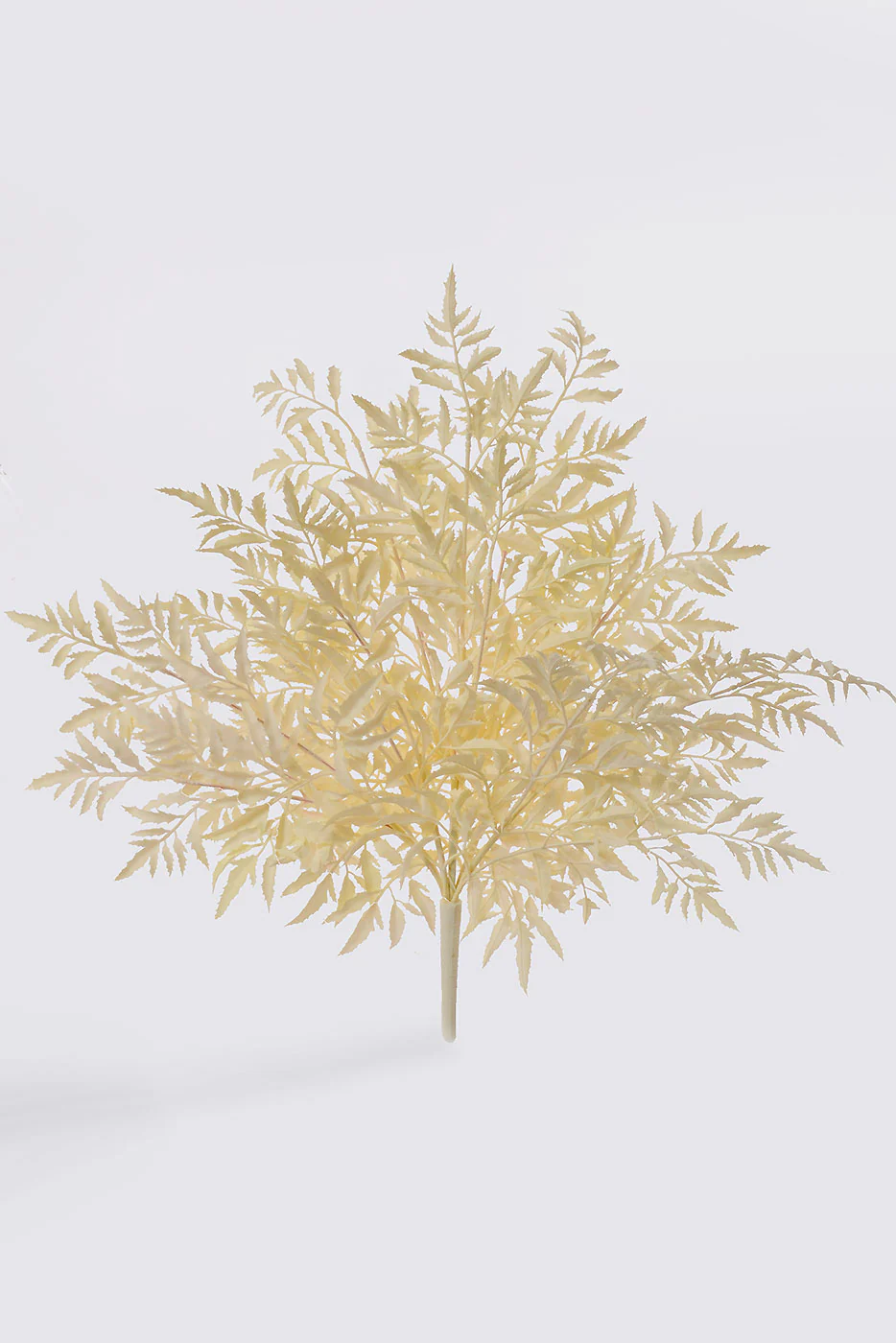 20" Fern Bush Cream