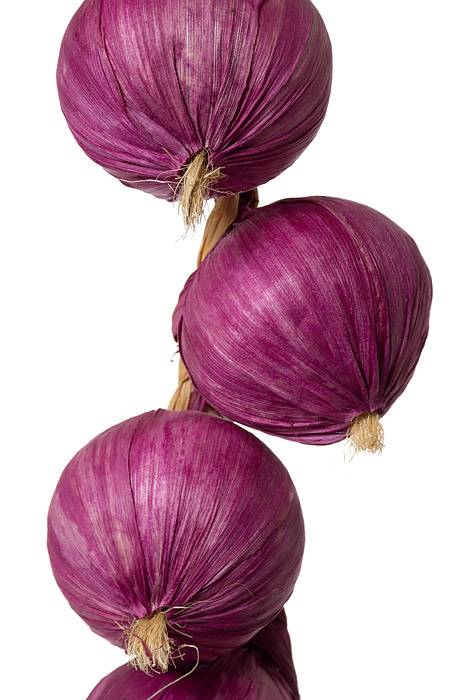20" Onion String Purple - Image 2