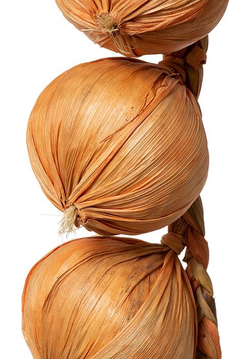20" Onion String Yellow Orange - Image 2
