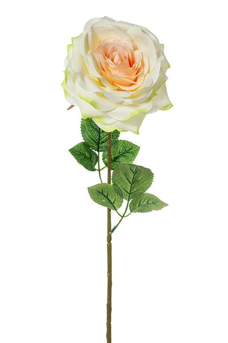 20" Open Rose Spray champagne