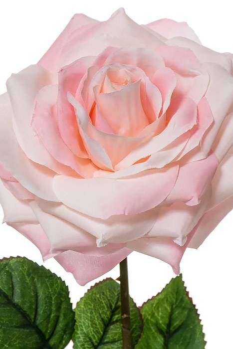 20" Open Rose Spray Light Pink - Image 2