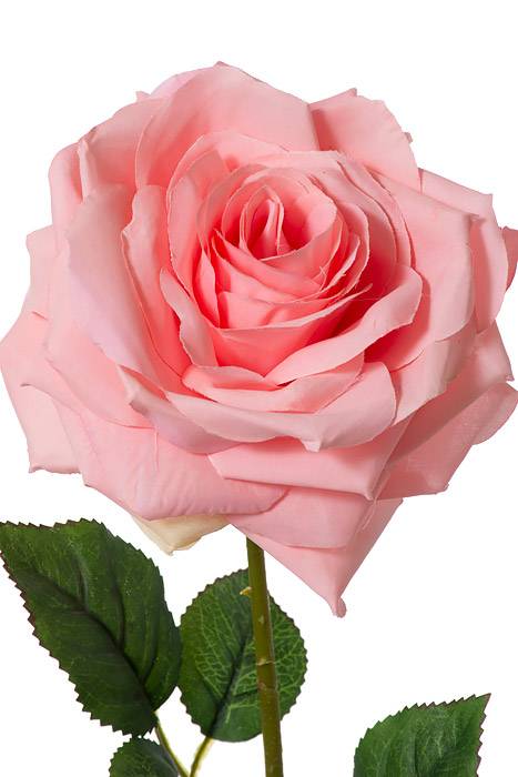 20" Open Rose Spray Pink - Image 2