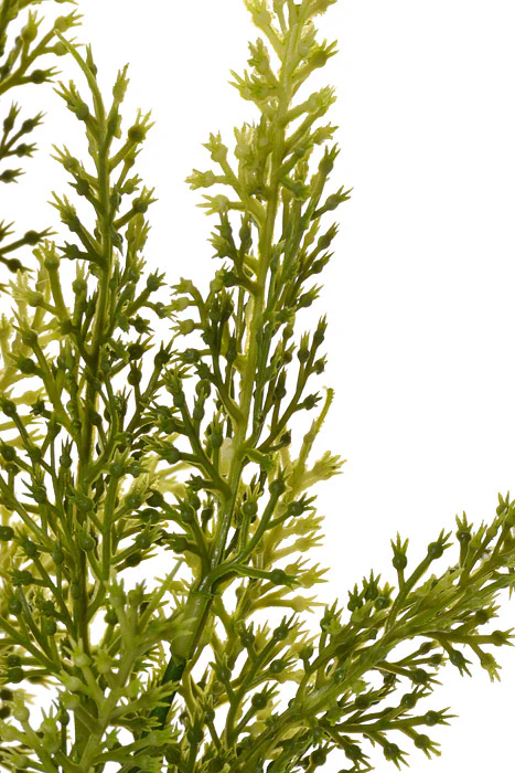 20" Plastic Sorghum Bush Green - Image 2