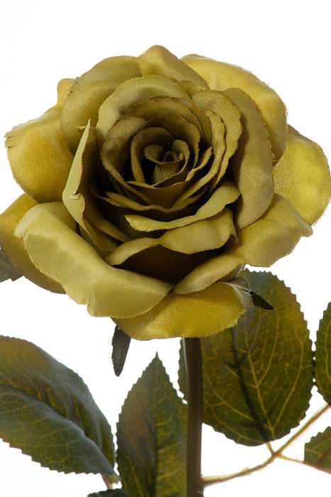 20" Rose Stem W/leaves Green - Image 2