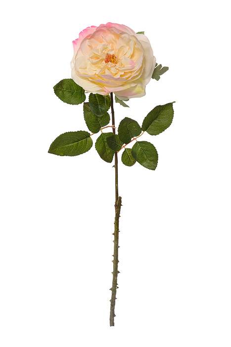 20" Silk English Rose Spray Yellow/Rose