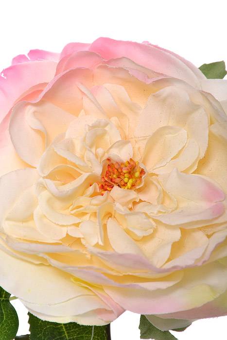 20" Silk English Rose Spray Yellow/Rose - Image 2