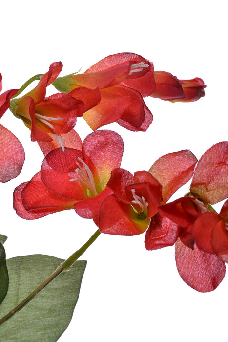 20" Silk Freesia Bush Red - Image 2