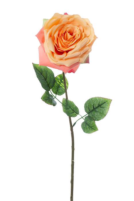 20" Silk Open Rose Spray Apricot