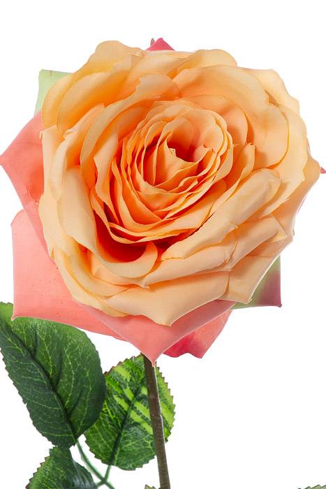 20" Silk Open Rose Spray Apricot - Image 2