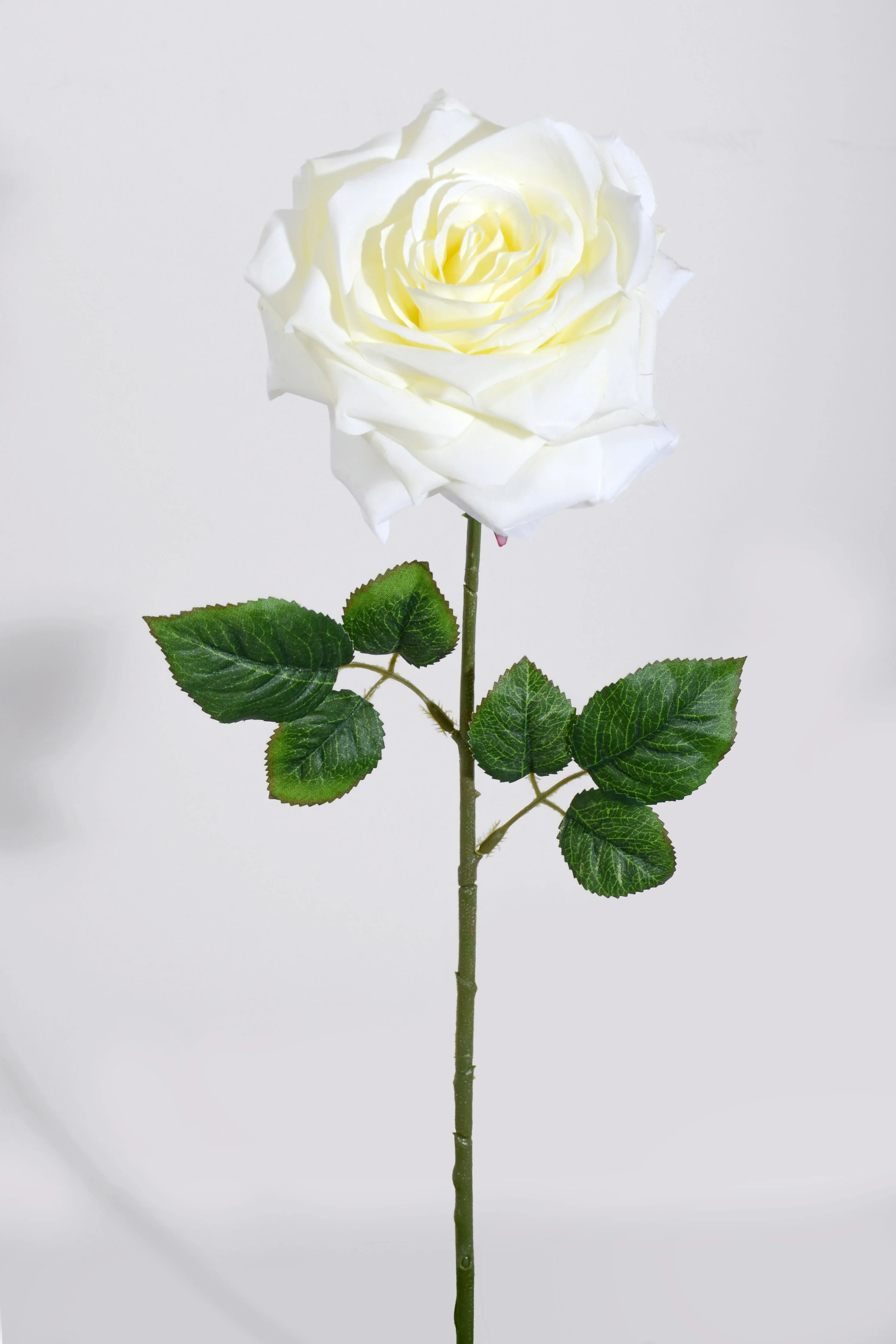 20" Silk Open Rose Spray Cream