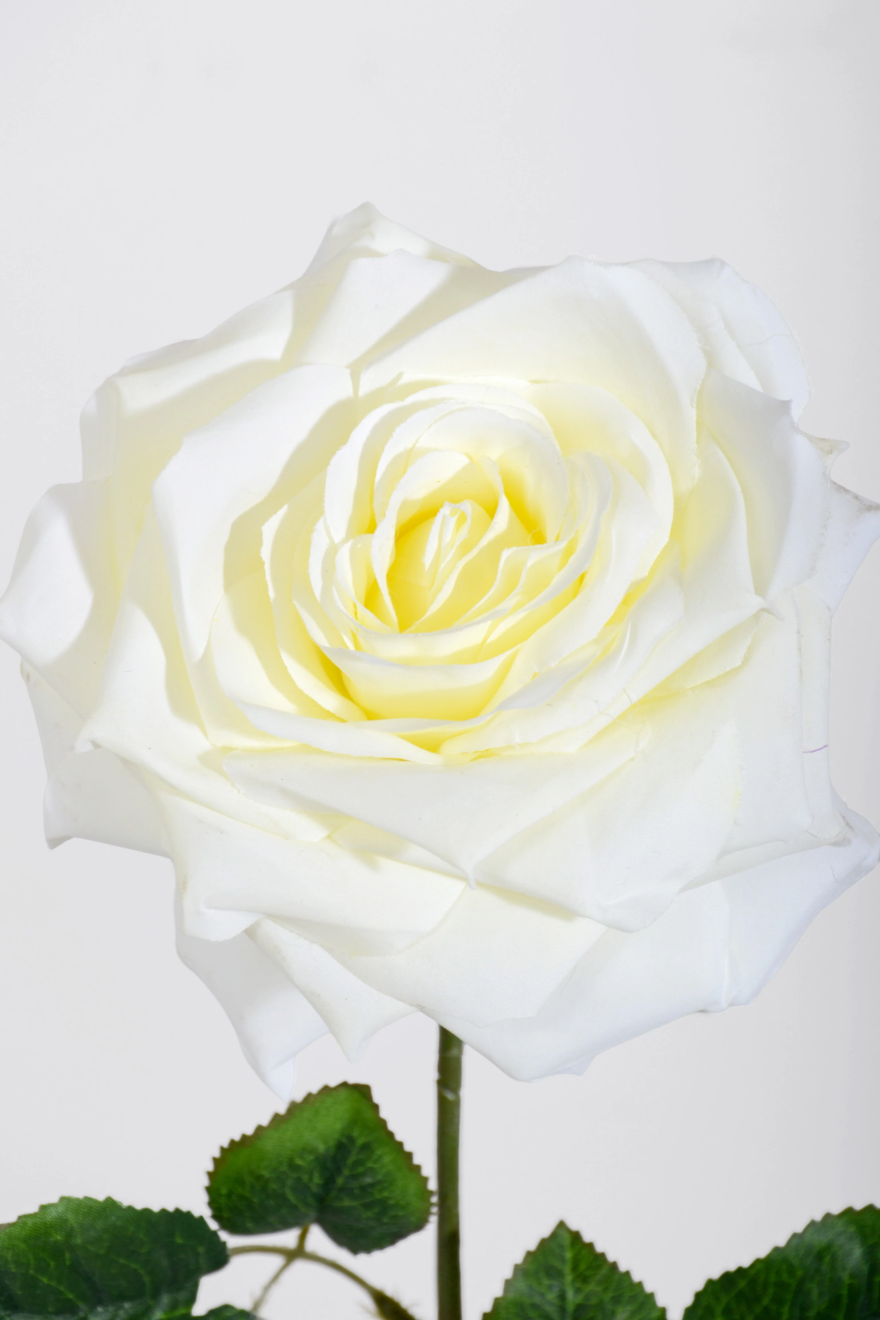 20" Silk Open Rose Spray Cream - Image 2