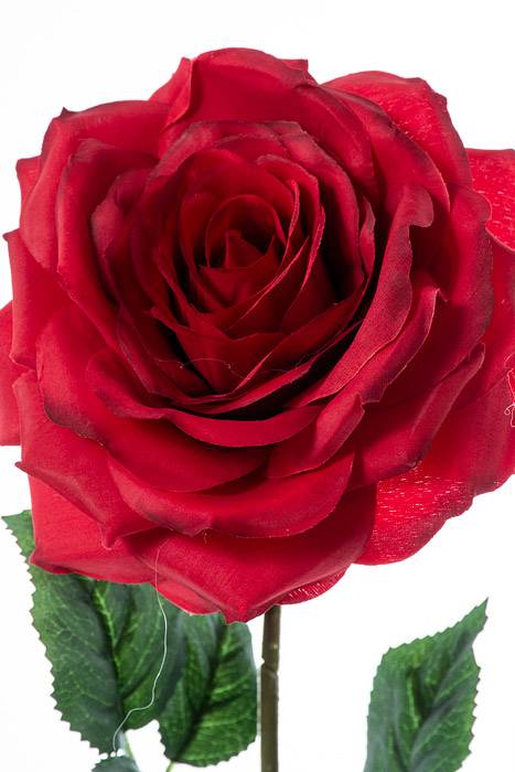 20" Silk Open Rose Spray Red - Image 2