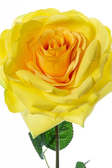 20" Silk Open Rose Spray Yellow - Image 2