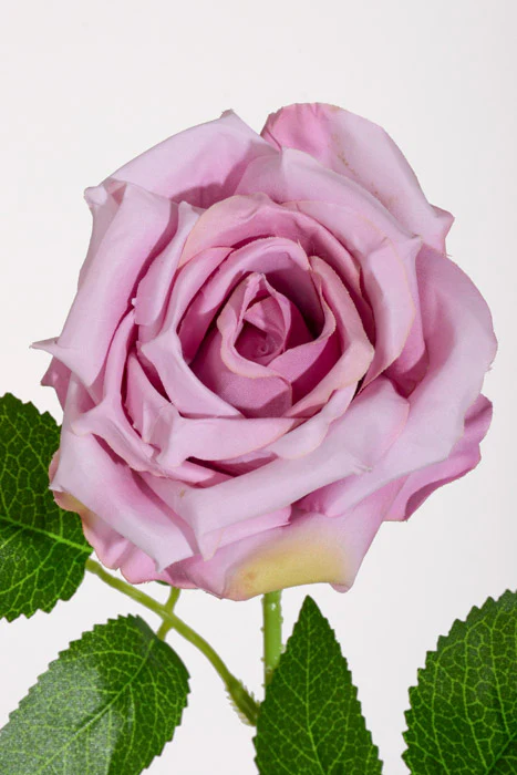 20" Silk Rose W/Thorns Stem Lavender - Image 2