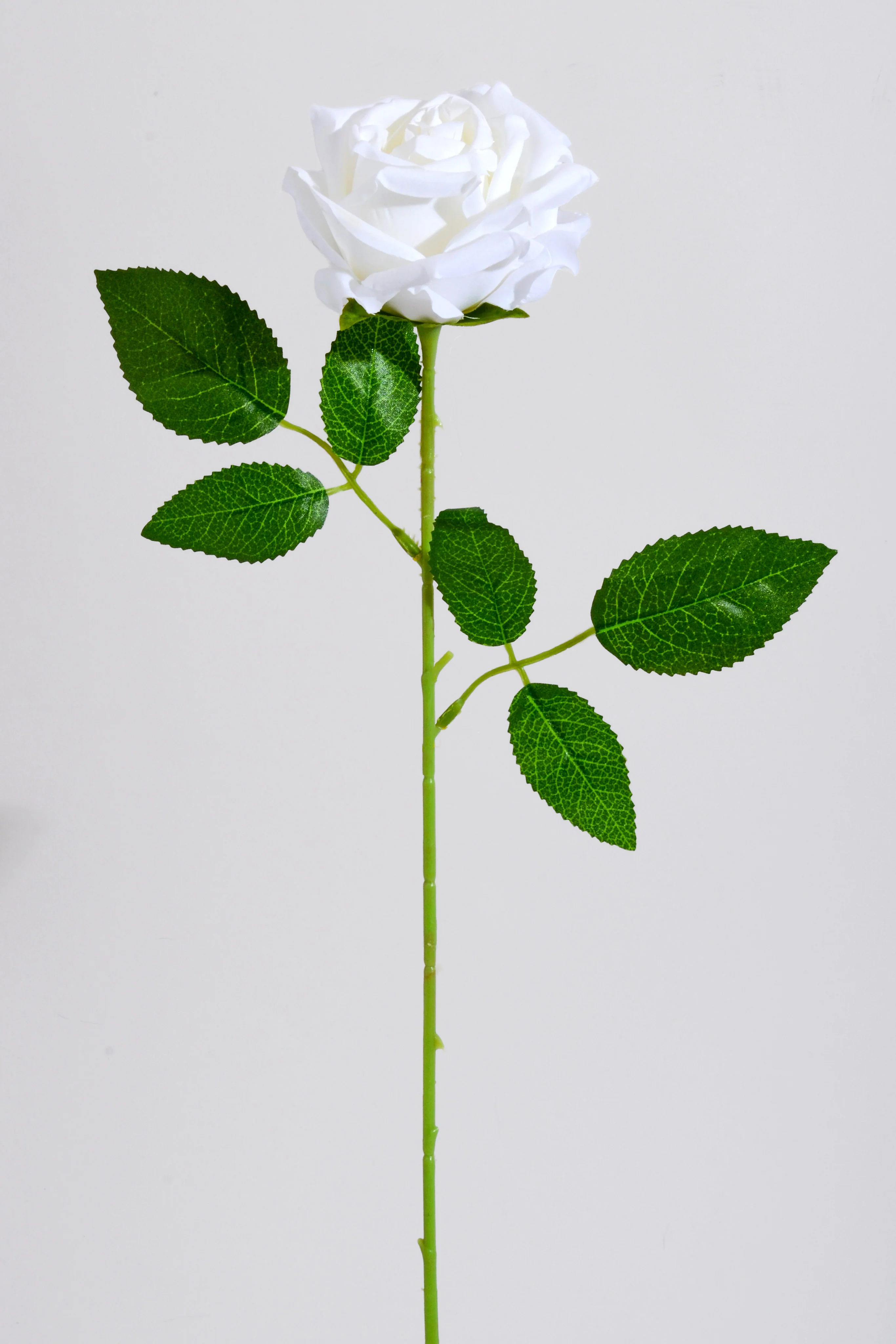 20" Silk Rose W/Thorns Stem White
