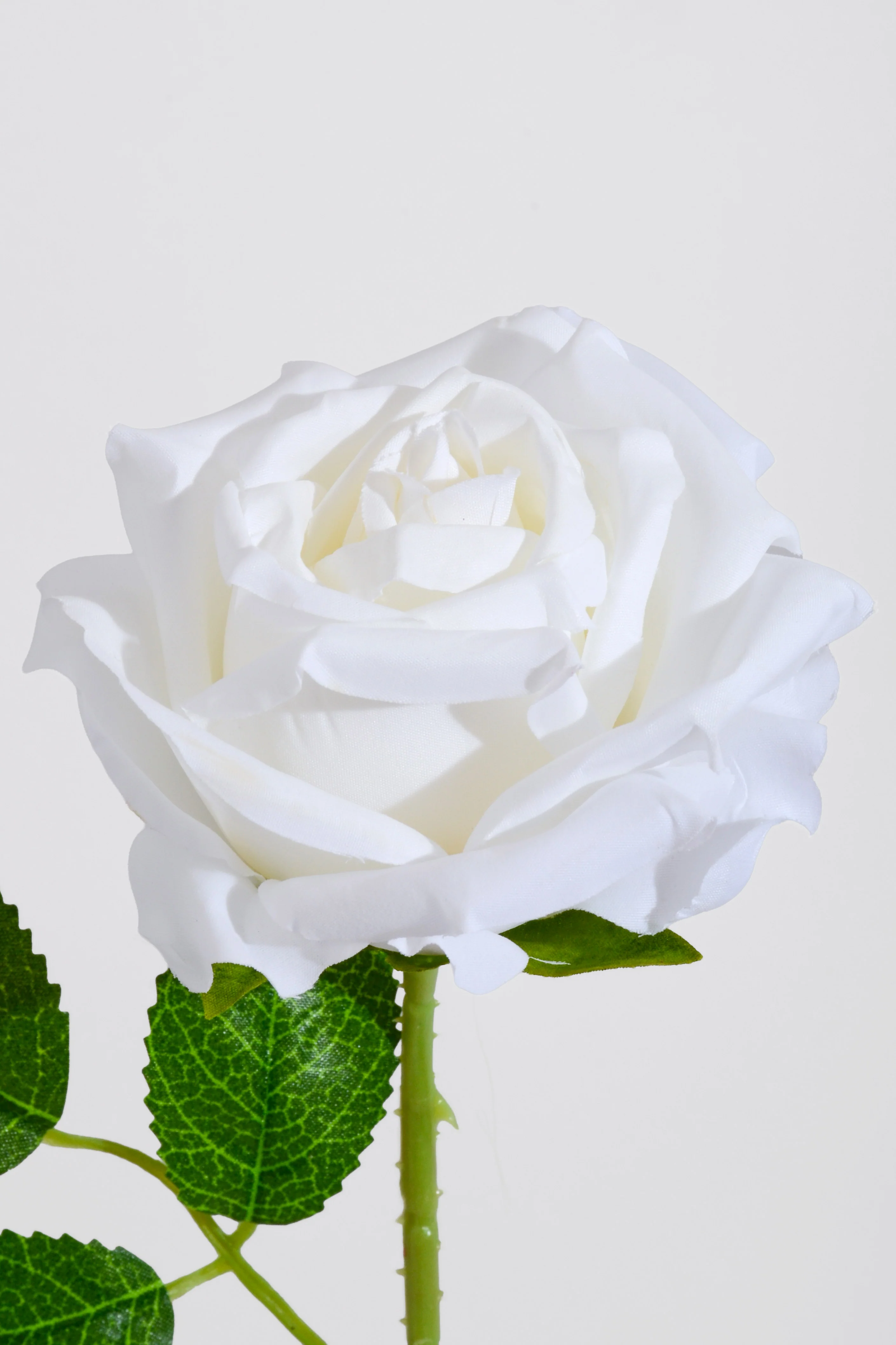 20" Silk Rose W/Thorns Stem White - Image 2