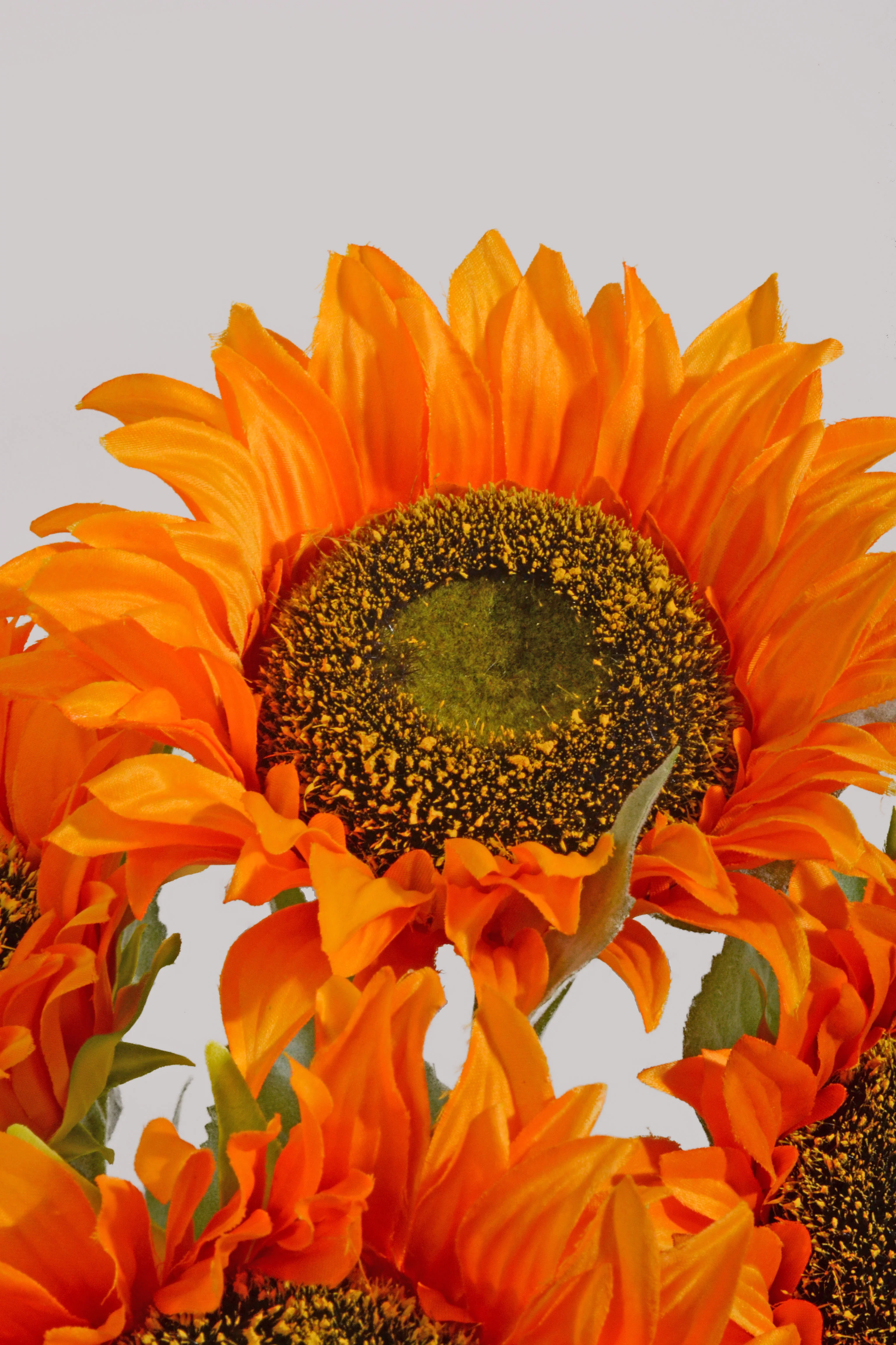 20" Silk Sunflower Bush Orange - Image 2