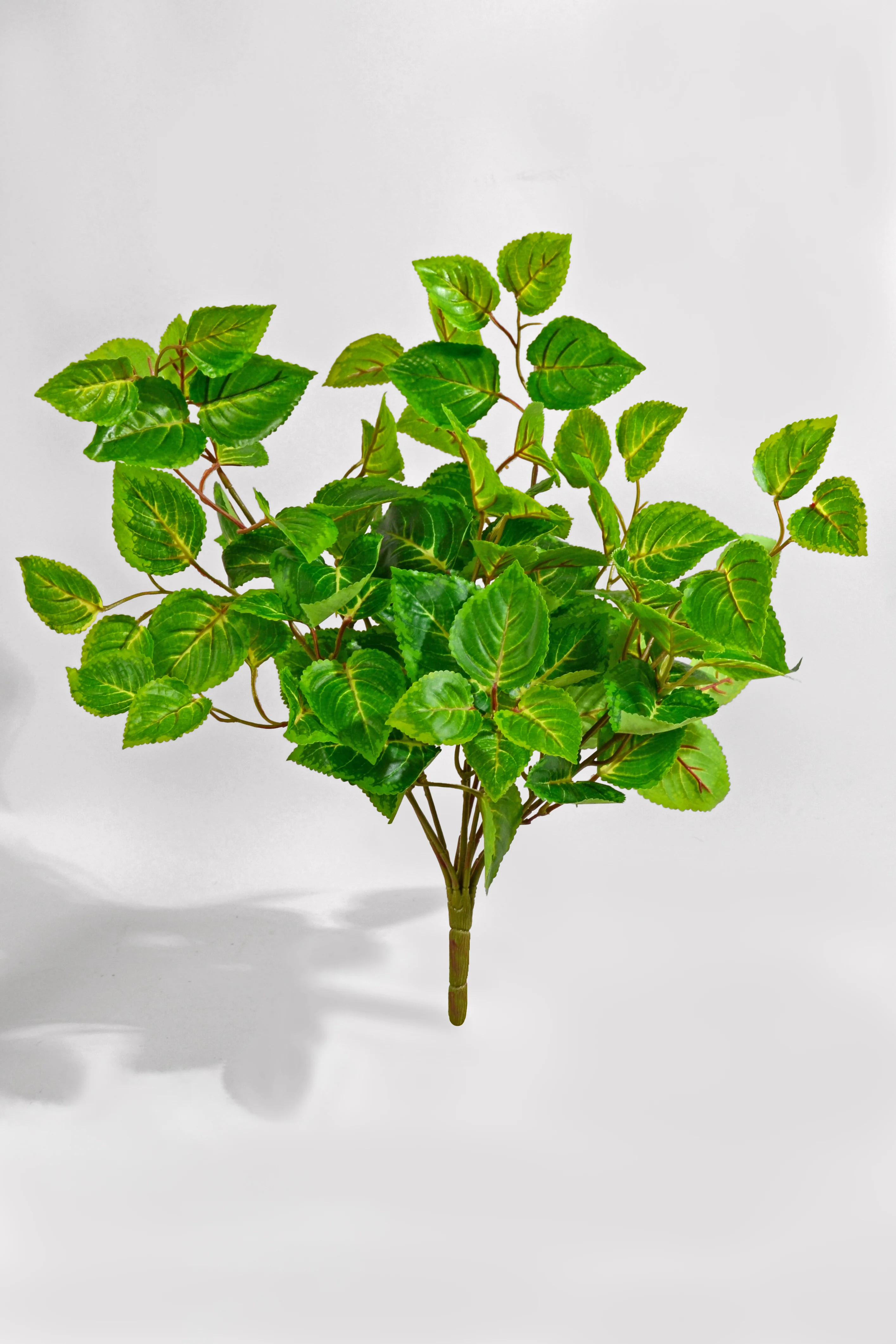 20" Uv Artificial Protected Coleus Bush Green/Cream