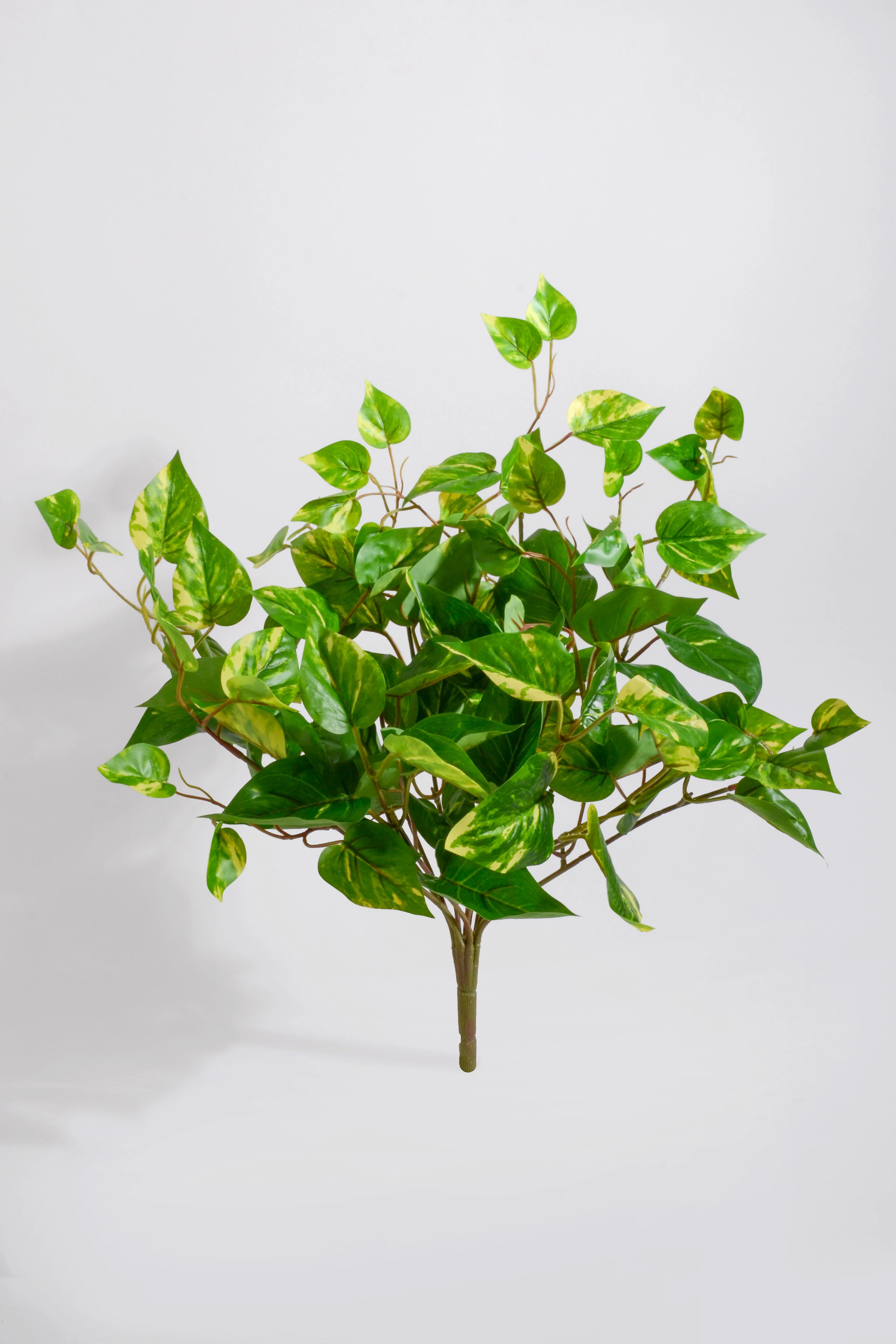 20" Uv Artificial Protected Pothos Bush Green/White