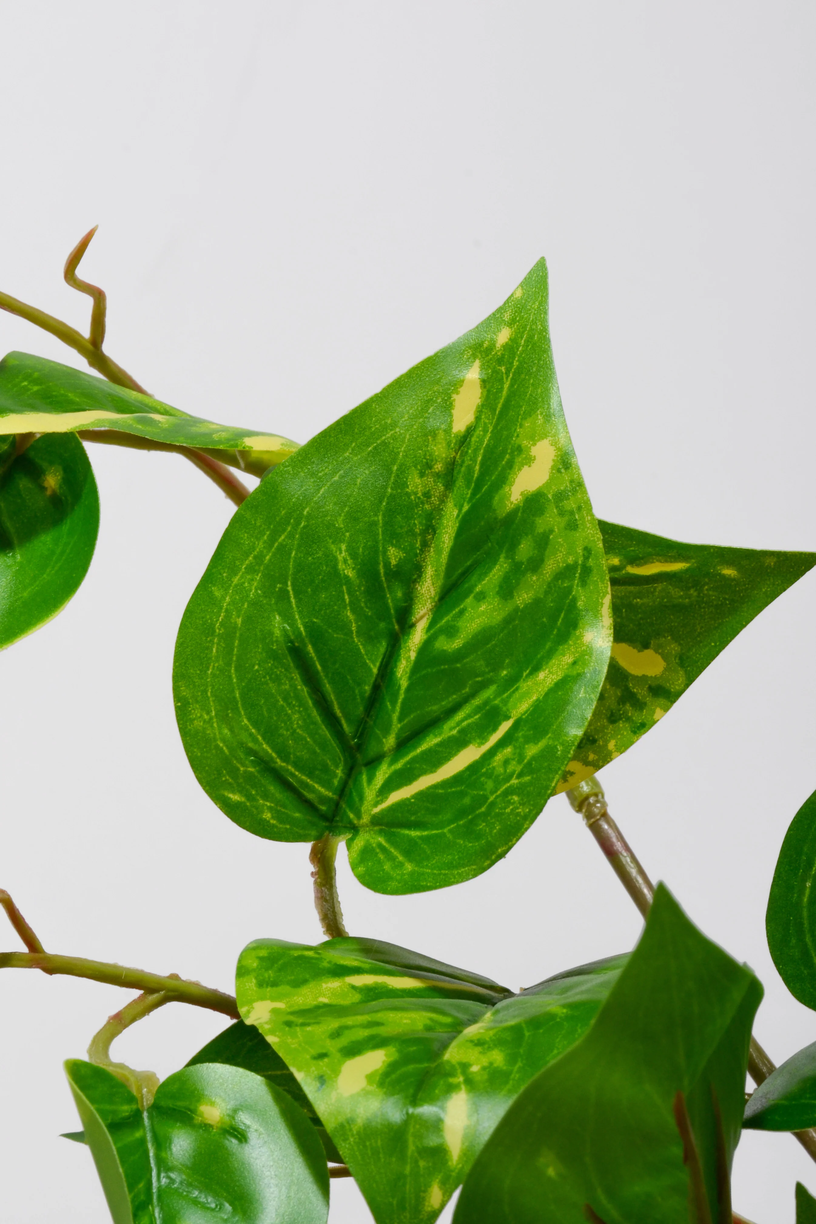 20" Uv Artificial Protected Pothos Bush Green/White - Image 2