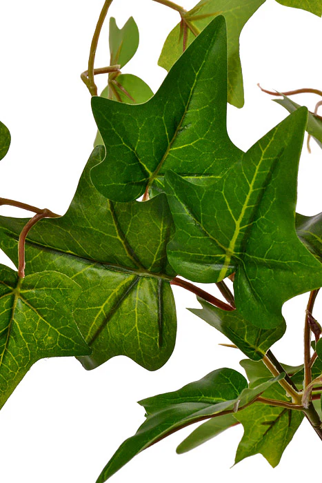 20" Uv Protected Ivy Bush Green - Image 2