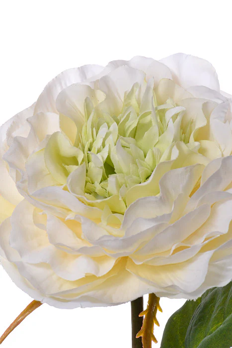 21.25" Rose Spray Cream - Image 2
