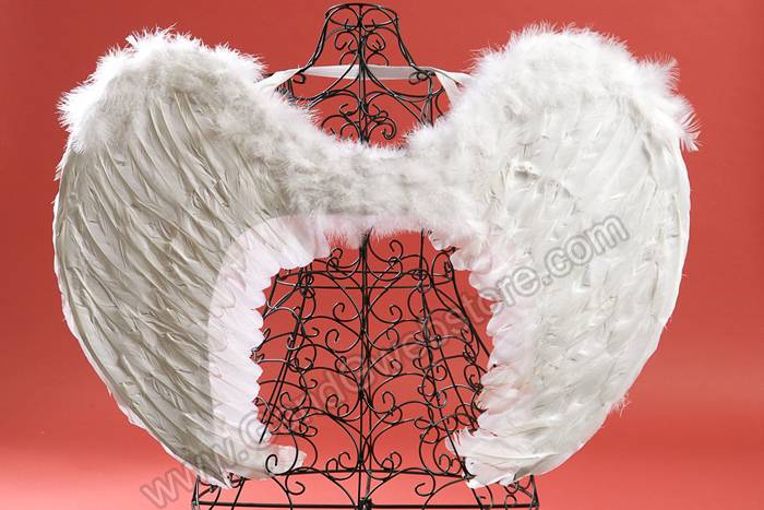 21.25" X 31.75" Angel Wing White - Image 2