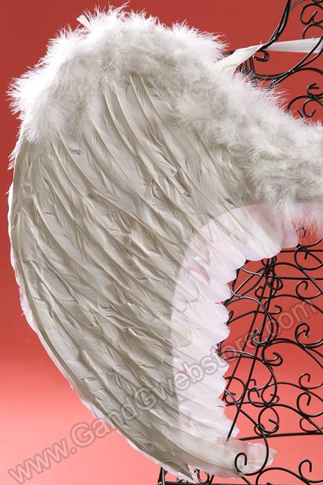 21.25" X 31.75" Angel Wing White - Image 3