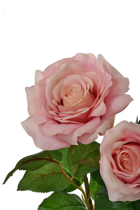 21.5" Confetti Rose Bush Pink - Image 2