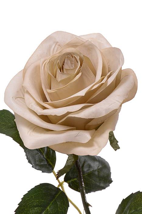 21.5" Rose Spray Egg Shell - Image 2